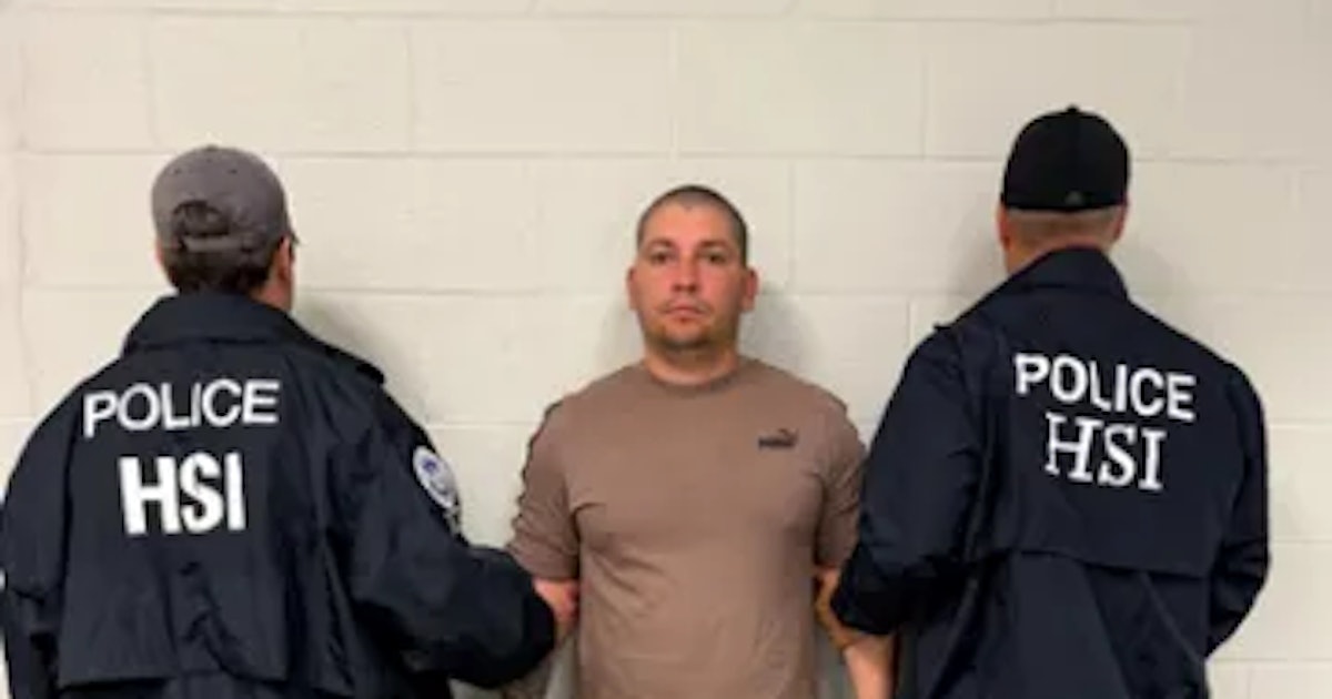 ‘Illegal alien’ with expired CDL arrested | Mich. trucking school suspended