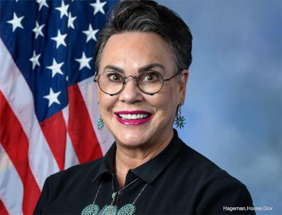 Smiling woman with short gray hair and round glasses, wearing a black shirt and turquoise jewelry, with the U.S. flag behind her.