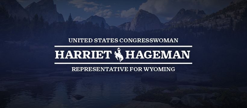 Blue-toned banner with mountains and water background; white uppercase text reads 'UNITED STATES CONGRESSWOMAN' and 'REPRESENTATIVE FOR WYOMING' with a horse-and-rider emblem.